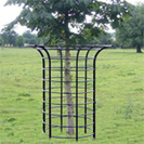 Wrought Iron Tree Guards